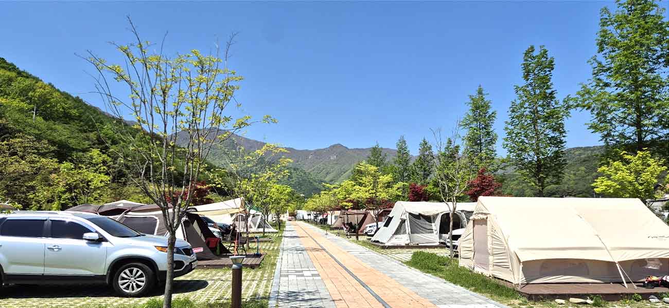 등억알프스야영장 전경