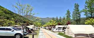 등억알프스야영장 전경