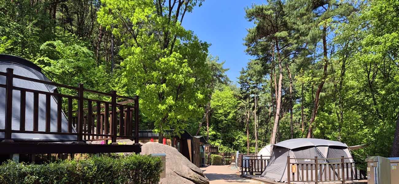 작천정달빛야영장 전경