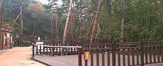 작천정달빛야영장 전경