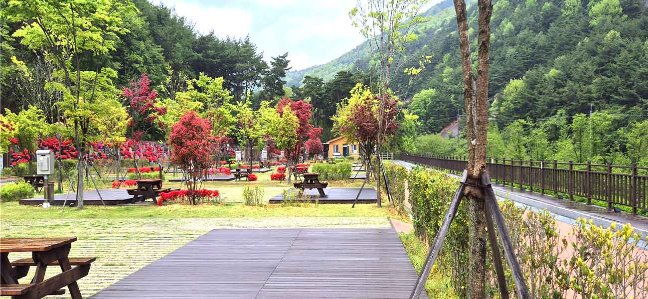 작천정달빛야영장 전경