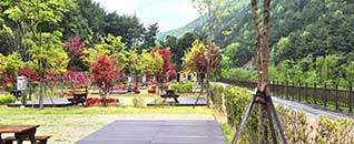 작천정달빛야영장 전경