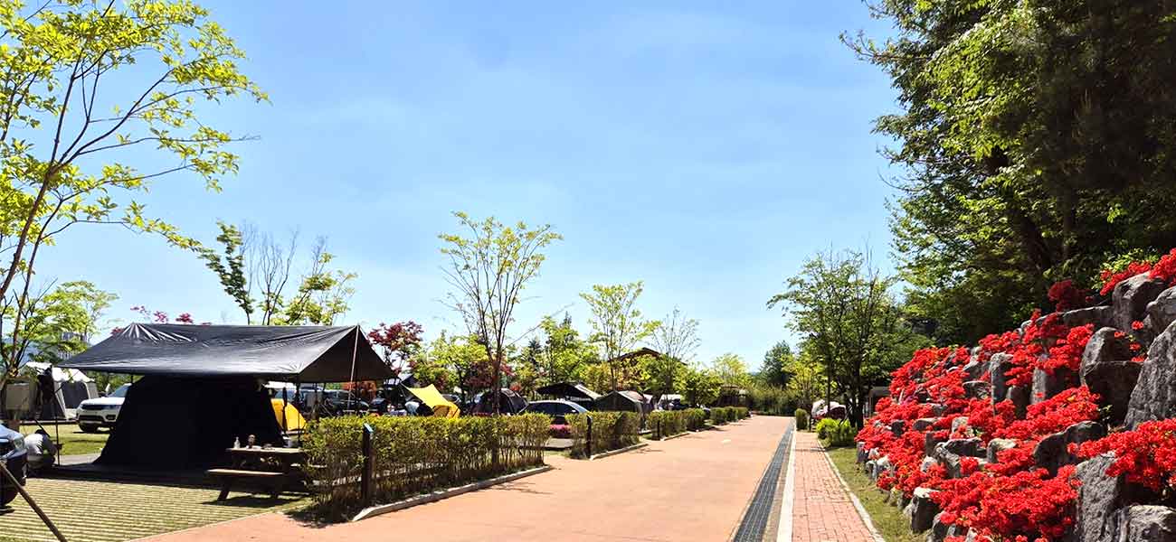 작천정달빛야영장 전경