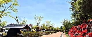 작천정달빛야영장 전경