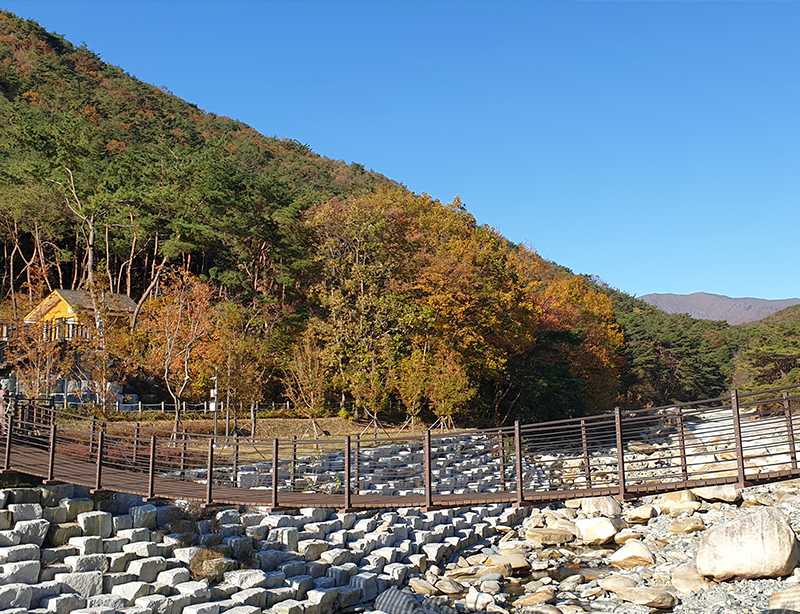 작천정달빛야영장 전경