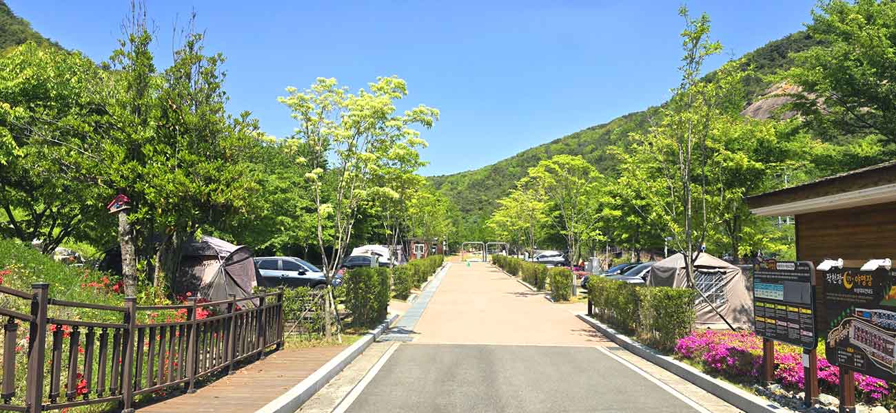 작천정달빛야영장 전경