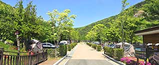 작천정달빛야영장 전경