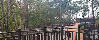 작천정달빛야영장 전경