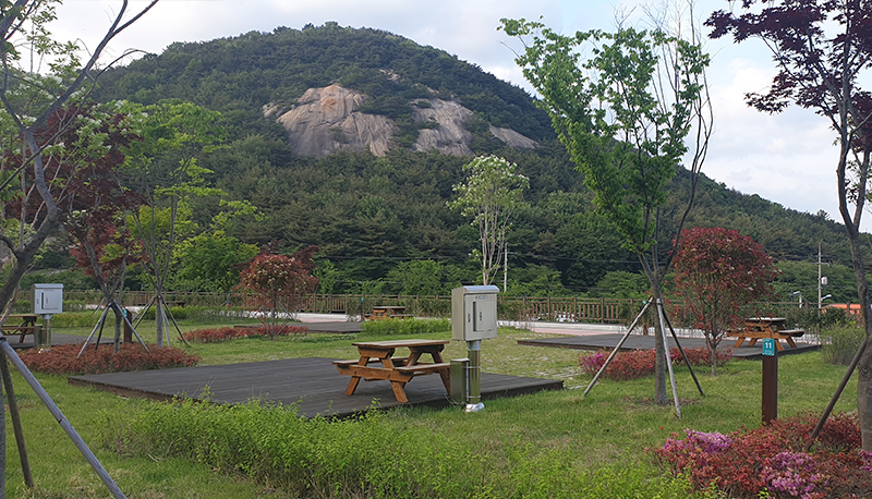 작천정달빛야영장 전경
