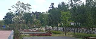 작천정달빛야영장 전경