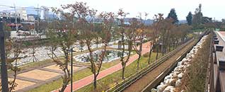 작천정달빛야영장 전경