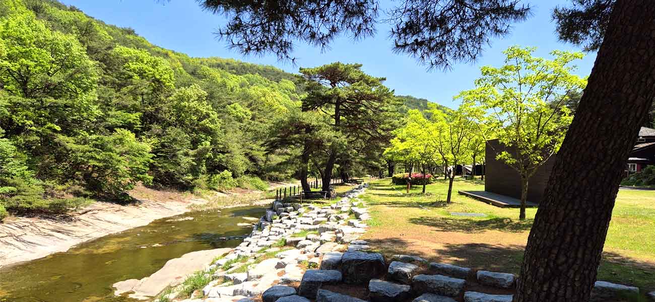 작천정별빛야영장 전경