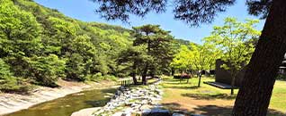 작천정별빛야영장 전경