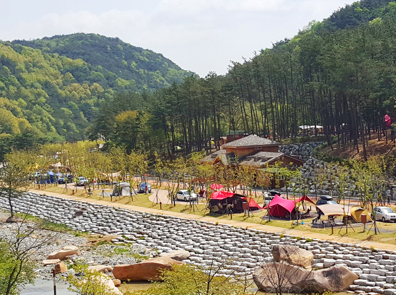 작천정별빛야영장 전경