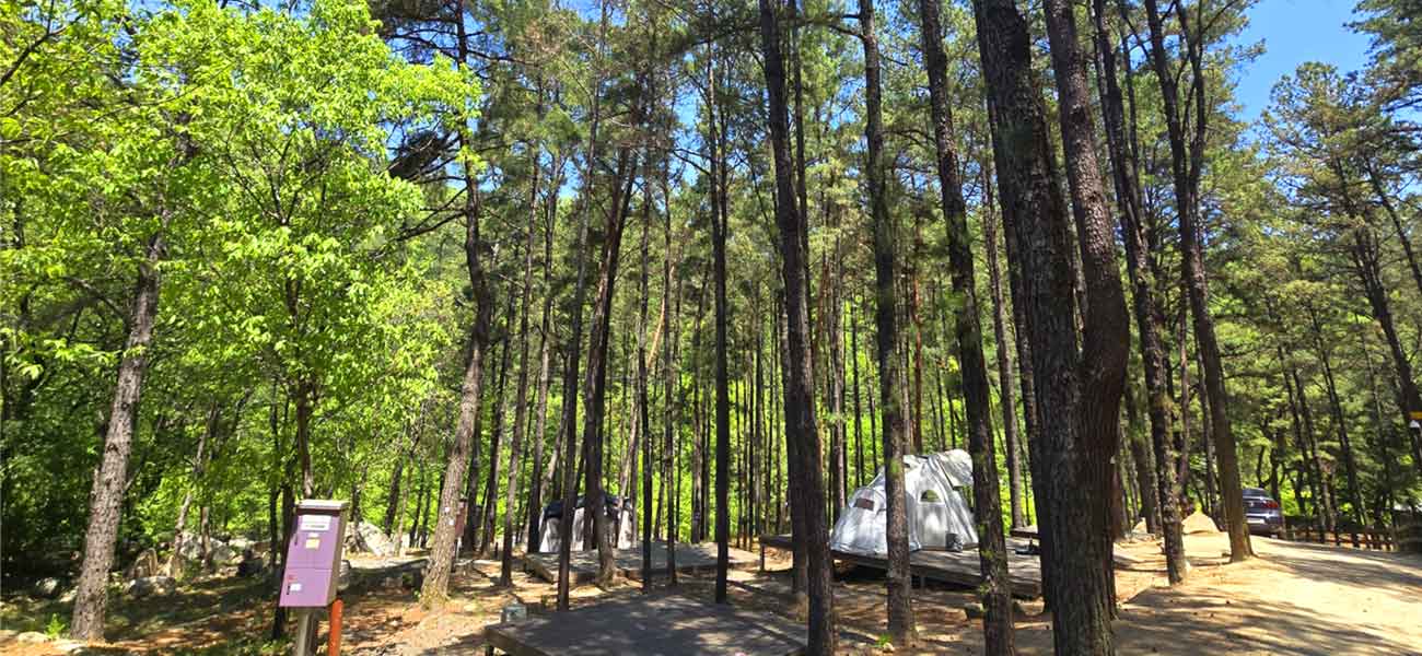 작천정별빛야영장 전경