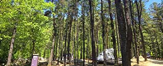 작천정별빛야영장 전경