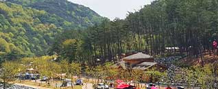 작천정별빛야영장 전경