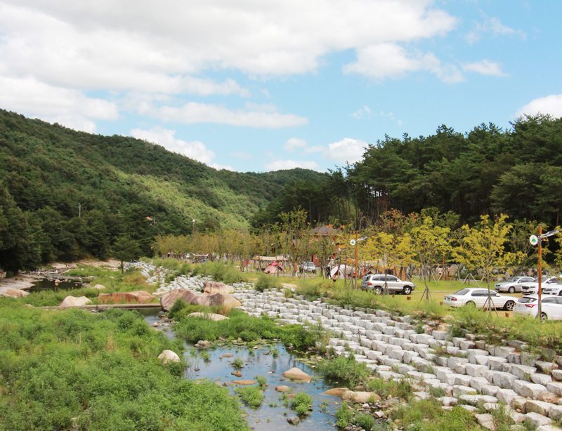 작천정별빛야영장 전경