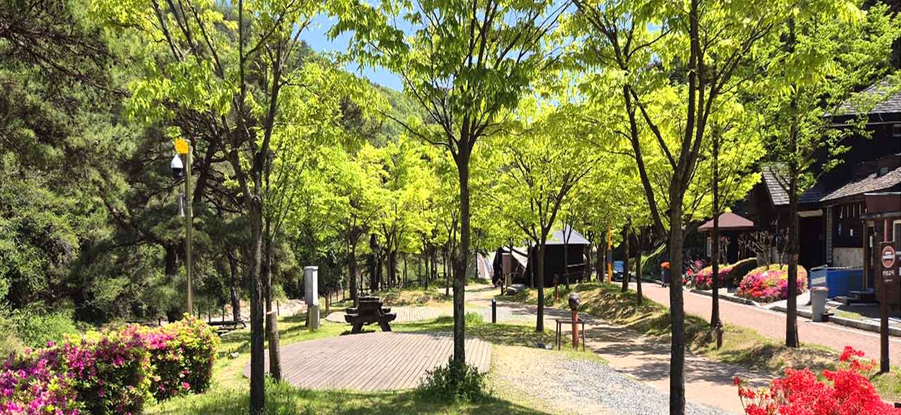 작천정별빛야영장 전경