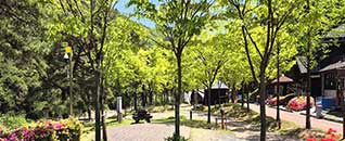 작천정별빛야영장 전경