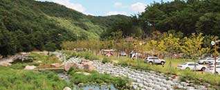 작천정별빛야영장 전경