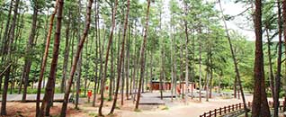 작천정별빛야영장 전경