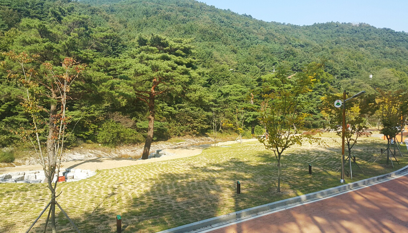 작천정별빛야영장 전경