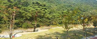 작천정별빛야영장 전경