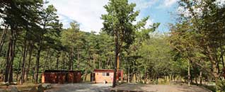 작천정별빛야영장 전경