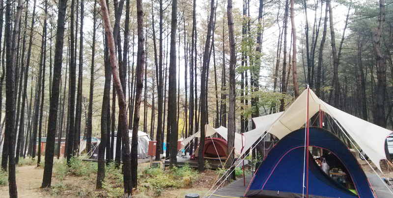 작천정별빛야영장 전경