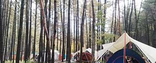 작천정별빛야영장 전경