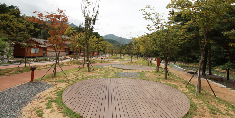 작천정별빛야영장 전경