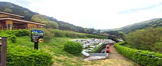 탐방로(산책로)전경