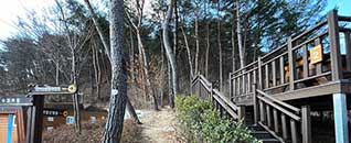 탐방로(산책로)전경
