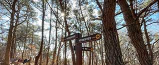 탐방로(산책로)전경