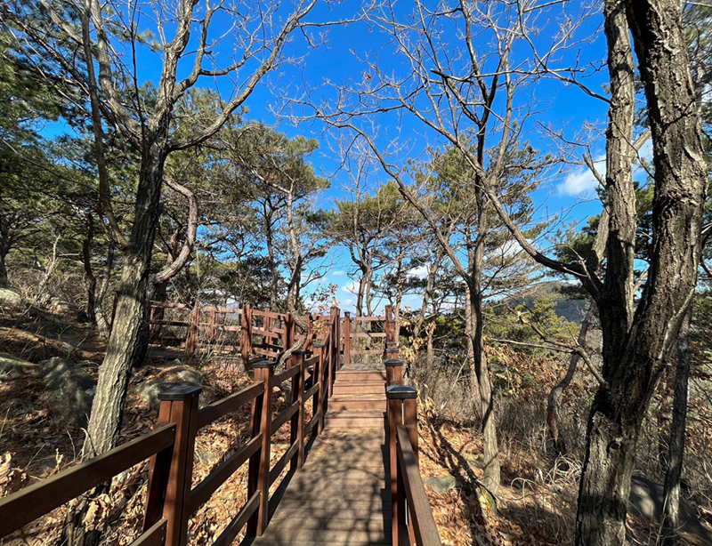 탐방로(산책로)전경