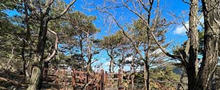 탐방로(산책로)전경