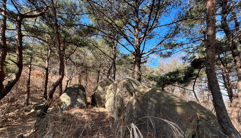 탐방로(산책로)전경