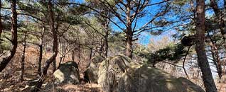 탐방로(산책로)전경