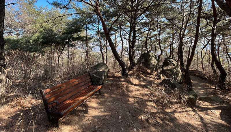 탐방로(산책로)전경