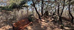 탐방로(산책로)전경