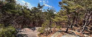 탐방로(산책로)전경