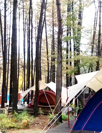 작천정별빛야영장 전경